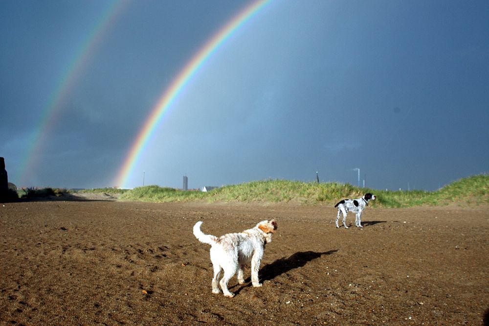 You See a Double Rainbow Spiritual Meanings 2